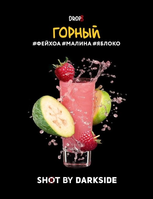Tutun pentru narghilea DARK SIDE SHOT (Горный)